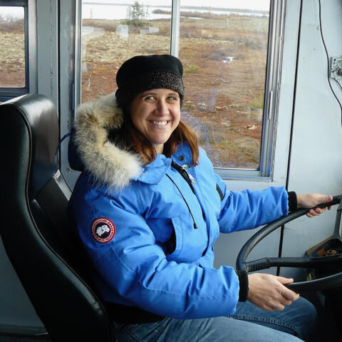 Driving a tundra buggy in Churchill, MB